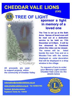 2023 Tree of Light Poster