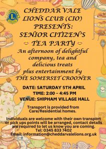 Senior Citz Party Poster