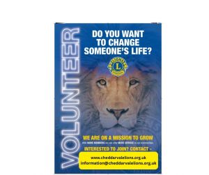 Your paragraph text Your paragraph text